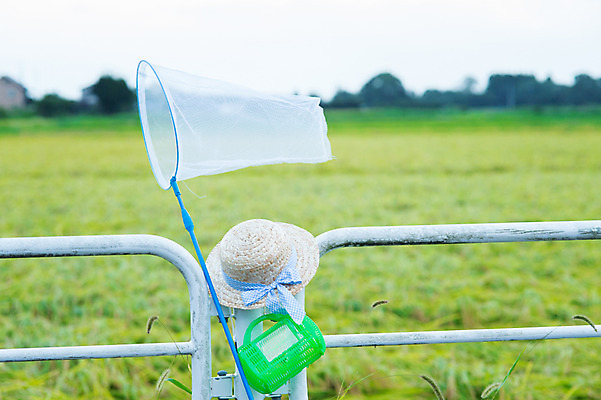포토 JPG 주간 모자 사람없음 야외 아웃포커스 곤충채집 채집망 안전펜스 채집통 국내포토 자연요소 잡화 곤충 촬영기법 통 울타리 수집 파일형식