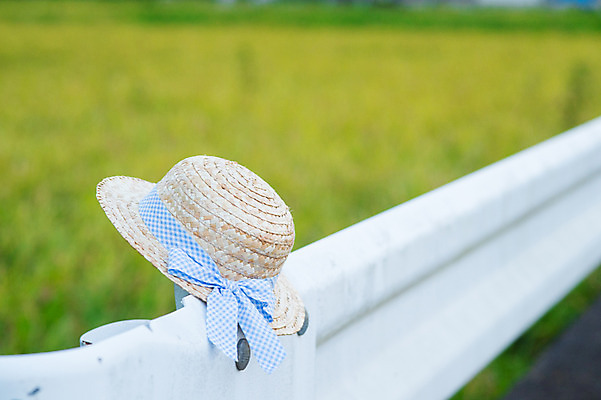 포토 JPG 주간 모자 사람없음 야외 아웃포커스 안전펜스 국내포토 자연요소 잡화 촬영기법 울타리 파일형식