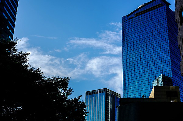 포토 JPG 주간 나무 구름 하늘 풍경 빌딩 사람없음 야외 일본 고층빌딩 도시 도쿄 신주쿠 국내포토 자연요소 식물 아시아 건물 파일형식