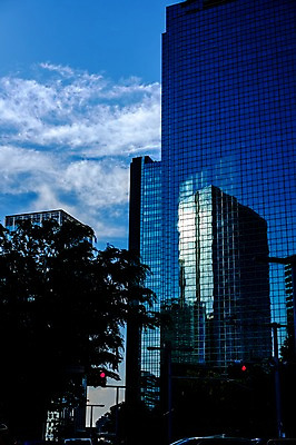 포토 JPG 주간 나무 구름 하늘 풍경 빌딩 사람없음 야외 반사 일본 고층빌딩 도시 도쿄 신주쿠 국내포토 자연요소 식물 아시아 건물 파일형식