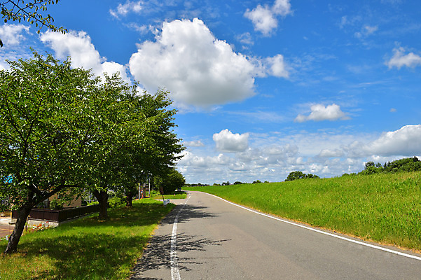 포토 JPG 주간 나무 구름 도로 자연 하늘 풍경 초원 사람없음 야외 일본 맑음 원근감 아키타 국내포토 자연요소 식물 아시아 길 뷰포인트 교통시설 날씨 생태계 파일형식