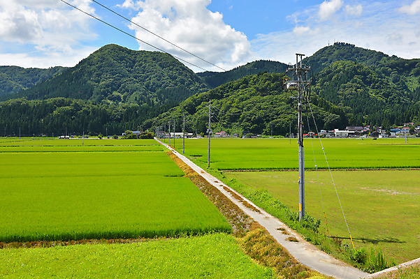 포토 JPG 주간 구름 자연 하늘 산 논 풍경 사람없음 야외 농경지 일본 맑음 오솔길 전봇대 아키타 국내포토 자연요소 공공시설 아시아 길 농업 날씨 농장 생태계 파일형식