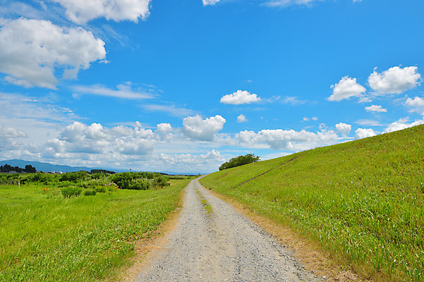 포토 JPG 주간 구름 자연 하늘 풍경 초원 사람없음 야외 일본 맑음 원근감 오솔길 아키타 국내포토 자연요소 아시아 길 뷰포인트 날씨 생태계 파일형식