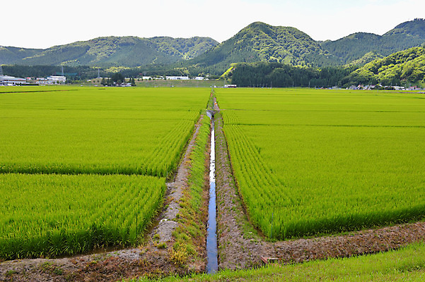 포토 JPG 주간 자연 산 논 풍경 사람없음 야외 농경지 일본 농촌 수로 아키타 국내포토 자연요소 아시아 농업 농장 시골 생태계 파일형식