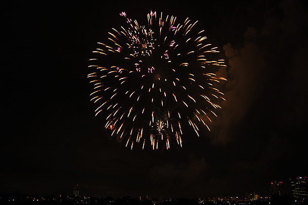 포토 JPG 밤하늘 불꽃놀이 풍경 사람없음 야외 일본 축제 야간 세타가야 국내포토 자연요소 아시아 놀이 하늘 파일형식