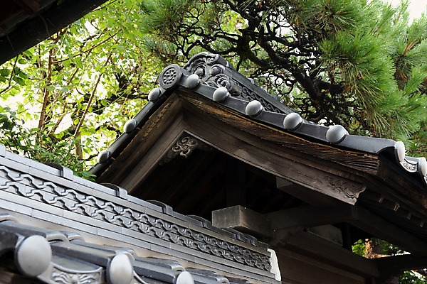 포토 JPG 주간 지붕 사람없음 야외 일본 소나무 일본건축 일본가옥 효고 국내포토 자연요소 나무 아시아 동양건축 일본전통 파일형식