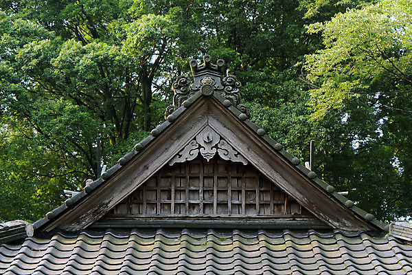 포토 JPG 주간 나무 지붕 기와 기와집 사람없음 야외 일본 일본건축 효고 국내포토 자연요소 식물 아시아 한옥 동양건축 파일형식