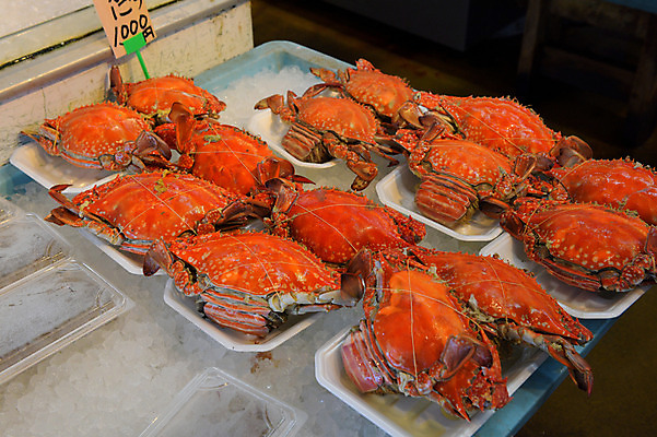 포토 JPG 주간 음식 사람없음 야외 일본 얼음 전시 꽃게 가격 해산물 어시장 이바라키 국내포토 자연요소 아시아 게 시장 파일형식