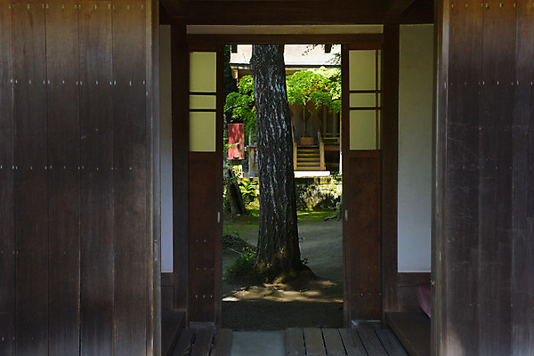 포토 JPG 주간 나무 주택 사람없음 문 정원 일본 목조 일본건축 목조주택 일본가옥 이바라키 국내포토 자연요소 식물 아시아 건물 동양건축 일본전통 파일형식