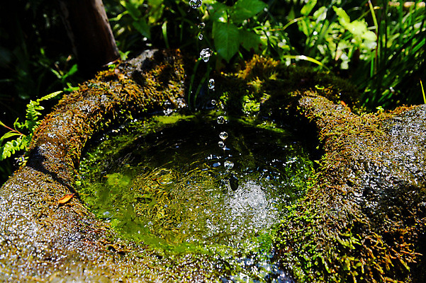 포토 JPG 주간 사람없음 야외 물 일본 흐름 웅덩이 이바라키 국내포토 자연요소 아시아 컨셉 파일형식