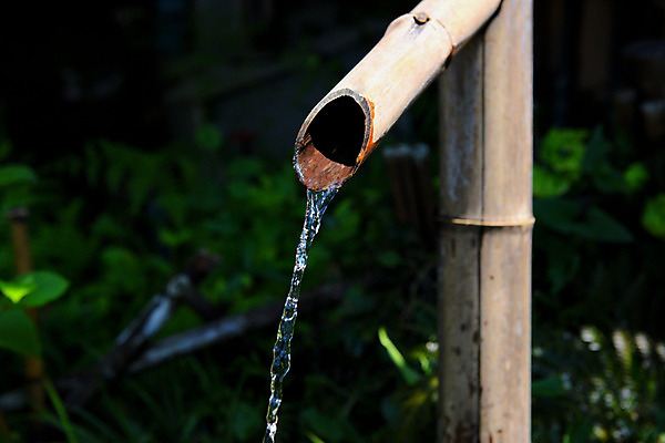 포토 JPG 주간 사람없음 야외 아웃포커스 물 일본 흐름 대나무 이바라키 국내포토 자연요소 나무 아시아 컨셉 촬영기법 파일형식
