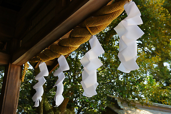 포토 JPG 주간 나무 종이 밧줄 사람없음 야외 일본 기도 사찰 소원 오미쿠지 이바라키 국내포토 자연요소 식물 아시아 줄 종교건축 파일형식