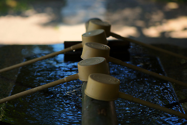 포토 JPG 주간 종교시설 사람없음 야외 아웃포커스 물 일본 사찰 바가지 이바라키 국내포토 자연요소 아시아 종교 종교건축 촬영기법 시설 파일형식