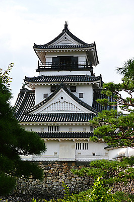 포토 JPG 주간 사람없음 야외 일본 소나무 성 일본건축 고치현 국내포토 자연요소 나무 건축물 아시아 동양건축 파일형식