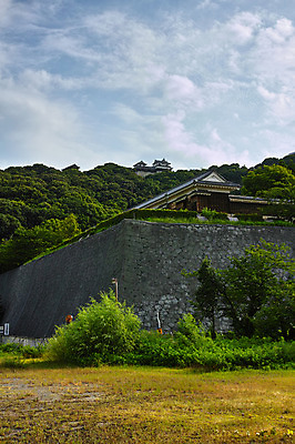 포토 JPG 주간 나무 구름 하늘 풍경 사람없음 야외 일본 성 일본건축 에히메 국내포토 자연요소 식물 건축물 아시아 동양건축 파일형식