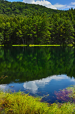 포토 JPG 주간 나무 구름 호수 자연 하늘 물그림자 풍경 사람없음 야외 일본 풀 숲 나가노 국내포토 자연요소 식물 아시아 그림자 생태계 파일형식