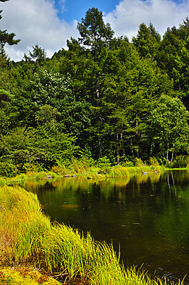 포토 JPG 주간 나무 구름 호수 자연 하늘 풍경 사람없음 야외 일본 풀 숲 나가노 국내포토 자연요소 식물 아시아 생태계 파일형식
