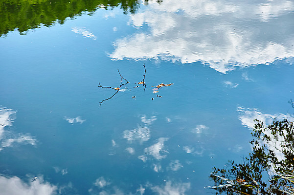 포토 JPG 주간 구름 자연 하늘 물그림자 풍경 사람없음 야외 일본 나뭇가지 연못 나가노 국내포토 자연요소 나무 아시아 그림자 생태계 파일형식