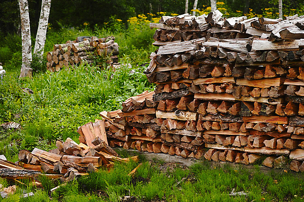 포토 JPG 주간 나무 자연 사람없음 야외 목재 쌓기 일본 장작 적재 나가노 국내포토 자연요소 식물 아시아 재료 모션 생태계 파일형식