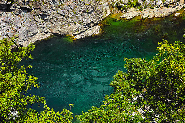 포토 JPG 주간 나무 자연 풍경 사람없음 야외 계곡 일본 바위 도쿠시마 국내포토 자연요소 식물 아시아 돌_바위 생태계 파일형식