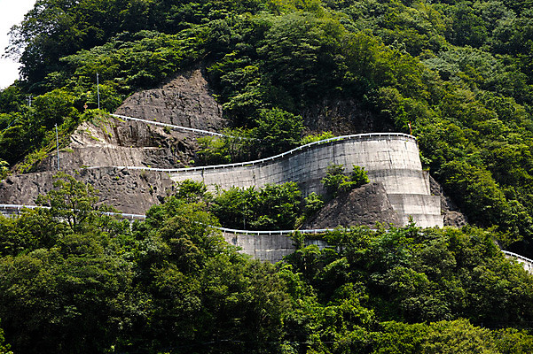포토 JPG 주간 나무 도로 난간 자연 산 풍경 사람없음 야외 일본 산길 도쿠시마 국내포토 자연요소 식물 아시아 길 교통시설 생태계 파일형식