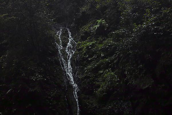 포토 JPG 주간 나무 자연 풍경 사람없음 야외 계곡 일본 폭포 흐름 숲 도쿠시마 국내포토 자연요소 식물 아시아 컨셉 생태계 파일형식