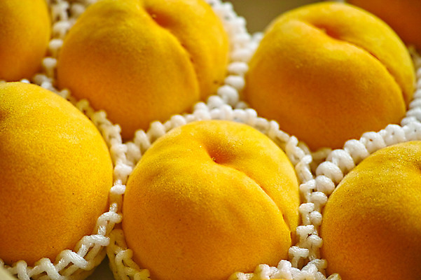 포토 JPG 과일 포장 자연 근접촬영 사람없음 아웃포커스 농작물 복숭아 제철 제철과일 국내포토 뷰포인트 농업 촬영기법 생태계 파일형식