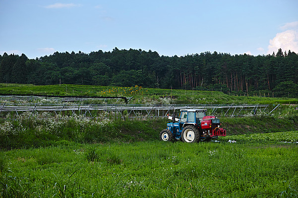 포토 JPG 주간 나무 구름 자연 하늘 풍경 사람없음 야외 농경지 일본 맑음 농촌 트랙터 야마나시 국내포토 자연요소 식물 아시아 날씨 농장 시골 농기계 생태계 특수차량 파일형식