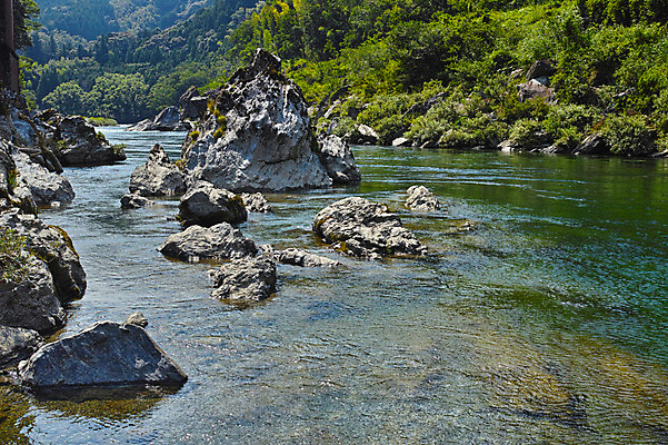 포토 JPG 주간 자연 풍경 사람없음 야외 강 일본 바위 숲 도쿠시마 국내포토 자연요소 아시아 돌_바위 생태계 파일형식