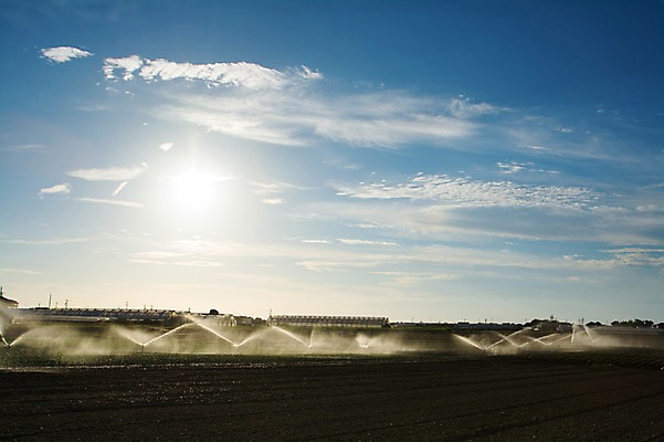 포토 JPG 주간 구름 밭 자연 하늘 풍경 사람없음 야외 농경지 농사 일본 농촌 스프링쿨러 국내포토 자연요소 아시아 농업 농장 시골 생태계 파일형식