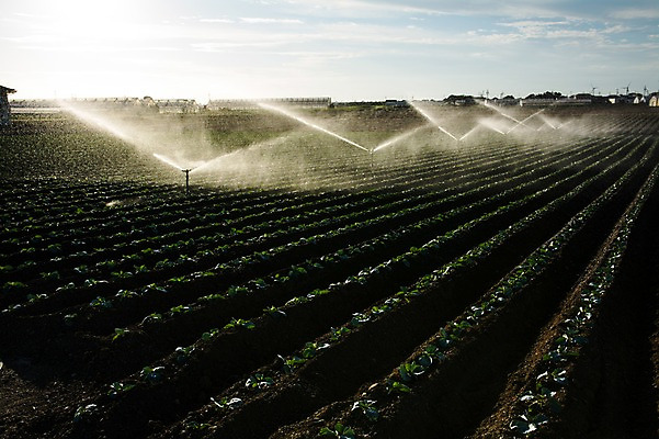 포토 JPG 주간 구름 밭 하늘 풍경 사람없음 야외 농경지 농사 일본 농촌 스프링쿨러 국내포토 자연요소 아시아 농업 농장 시골 파일형식