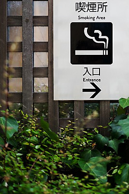포토 JPG 주간 화살표 잎 출입구 담배 사람없음 야외 일본 흡연구역 국내포토 자연요소 식물 아시아 구역 파일형식
