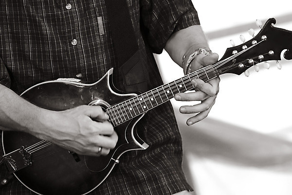 포토 JPG 해외이미지 손 음악 기술 사람 사람없음 축제 소리 공연 기쁨 음악가 기타 도구 공구 묘사 재즈 오케스트라 블루스 플레이어 해외202004 해외포토 직업 감정 현악기 문화예술 이벤트 신체부위 악단 파일형식 이미지허브