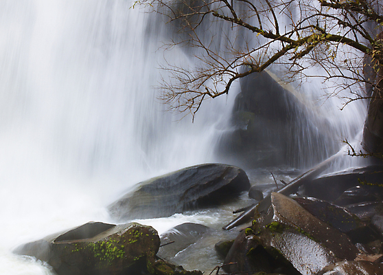 포토 JPG 해외이미지 나무 식물 공원 잎 모션 태국 자연 휴가 휴식 풍경 사람없음 목재 초록색 물 강 봄 폭포 흐름 가을 신선 개울 숲 시원함 당구 순수 즐거움 에메랄드 천국 내추럴 삼림지대 파라다이스 현재 해외202004 해외포토 자연요소 계절 공공시설 감정 아시아 컬러 컨셉 재료 구기 보석 생태계 파일형식 이미지허브