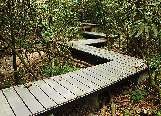 포토 JPG 해외이미지 나무 식물 공원 도로 길 백그라운드 잎 곡선 자국 자연 풍경 사람없음 야외 목재 초록색 여름 계단 환경 정원 봄 산책 하이킹 탐험 바위 시골 숲 신비 오솔길 방향 단계 내추럴 방법 선로 옛날 해외202004 해외포토 계절 공공시설 선 컬러 컨셉 재료 교통시설 레저 휴식 돌_바위 생태계 파일형식 이미지허브