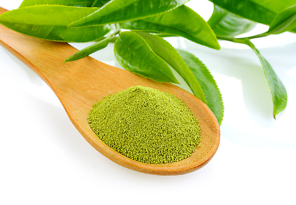 포토 JPG 해외이미지 식물 음료 줄기 백그라운드 잎 자연 건강 사람없음 초록색 성장 흰색 나뭇가지 신선 가루 허브 내추럴 고립 해외202004 해외포토 나무 컬러 생태계 파일형식 이미지허브