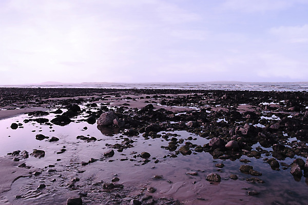 포토 JPG 해외이미지 구름 모래 바다 여행 자연 하늘 아침 휴가 풍경 사람없음 초록색 물 파란색 반짝임 햇빛 평화 보라색 새벽 추위 신선 잡초 해조류 당구 덮기 암초 아일랜드 다시마 서쪽 헤드랜드 해외202004 해외포토 주간 자연요소 식물 유럽 컬러 컨셉 모션 태양 구기 해양식물 방향 생태계 파일형식 이미지허브