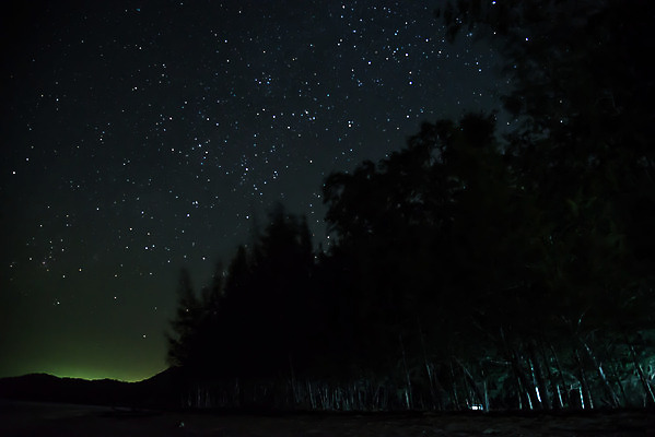 포토 JPG 해외이미지 나무 별 백그라운드 자연 벽지 하늘 추상 사람없음 야외 파란색 우주 검은색 어둠 별자리 흰색 야간 숲 질감 은하계 천문학 방법 해외202004 해외포토 자연요소 식물 교육 컬러 무늬 생태계 파일형식 이미지허브