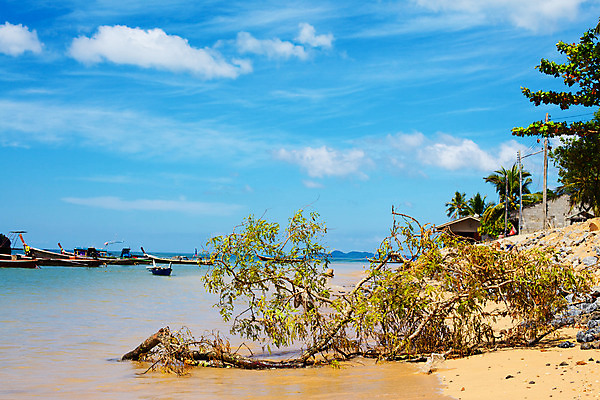 포토 JPG 해외이미지 나무 구름 전통 옷 모래 바다 섬 여행 태국 자연 하늘 낚시 휴가 휴식 주택 건조 손바닥 풍경 사람없음 가로 여름 파란색 컬러풀 태양 마을 맑음 침묵 놀람 바위 시골 직물 크리스탈 언덕 코코넛 어장 안다만 이국적 파라다이스 해외202004 해외포토 자연요소 식물 손 계절 감정 아시아 컬러 컨셉 과일 레저 날씨 표정 건물 소리 돌_바위 광석 생태계 파일형식 이미지허브