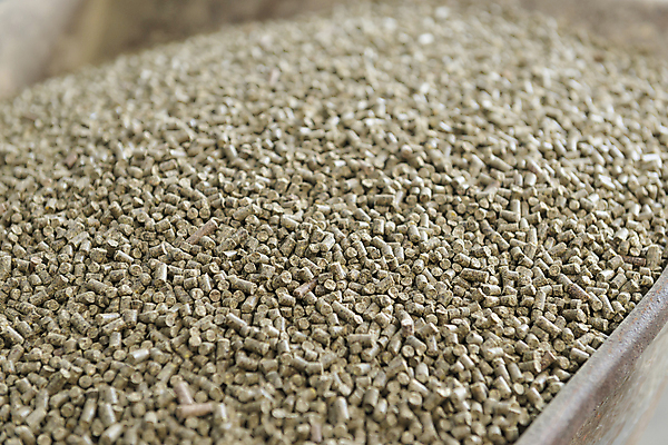 포토 JPG 해외이미지 동물 산업 음식 농업 사람없음 반려동물 갈색 가축 힘 수레 긴급 소 먹이 낟알 합성 찌그러짐 섞기 작살 해외202004 해외포토 컬러 컨셉 포유류 카트 파일형식 이미지허브