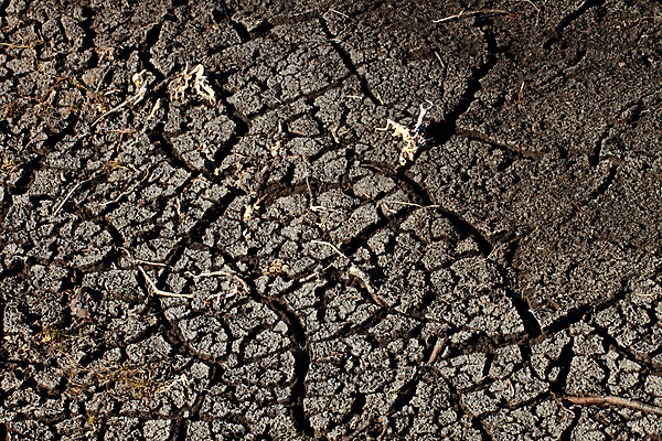 포토 JPG 해외이미지 지구 건조 사람없음 흙 먼지 가뭄 땅바닥 해외202004 해외포토 날씨 바닥 파일형식 이미지허브