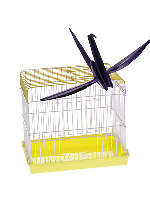 포토 JPG 해외이미지 모양 동물 종이 조류 세포 사람없음 목재 울타리 반려동물 노란색 우주 금속 보라색 자유 잡기 바 황금 작음 탈출 감옥 새장 고립 놋쇠 해외202004 해외포토 나무 컬러 컨셉 재료 모션 재질 담장 크기 케이지 파일형식 이미지허브