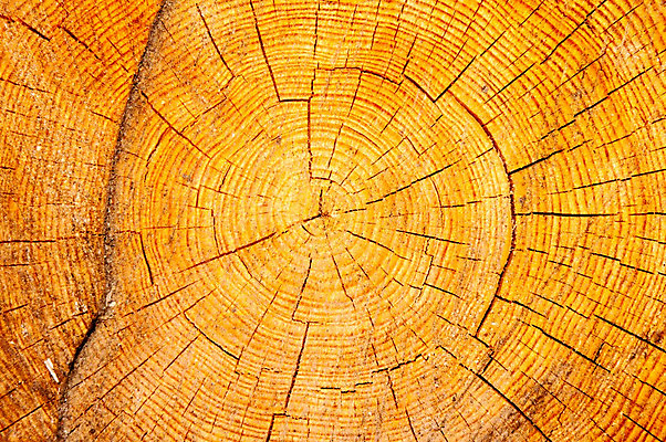 포토 JPG 해외이미지 나무 전통 디자인 공원 백그라운드 패턴 건축양식 자연 표면 추상 프레임 사람없음 야외 목재 갈색 수확 숲 묘사 질감 내추럴 수목 옛날 스타일 해외202004 해외포토 식물 공공시설 건축 컬러 무늬 농업 재료 생태계 파일형식 이미지허브