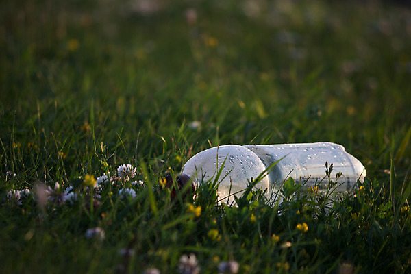 포토 JPG 해외이미지 공원 꽃 컨셉 밭 사람없음 초록색 물 봄 환경오염 쓰레기 숲 플라스틱 위치 떠남 생태학 해외202004 해외포토 자연요소 식물 계절 공공시설 교육 컬러 농업 모션 재질 파일형식 이미지허브