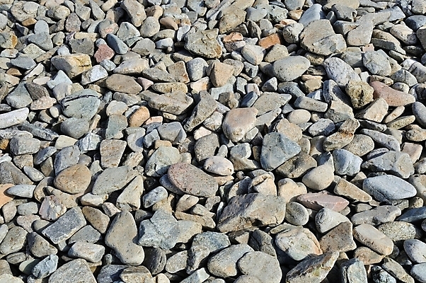 포토 JPG 해외이미지 바다 백그라운드 사람없음 흙 조약돌 바위 가득함 제비 땅바닥 지질 많음 해외202004 해외포토 컨셉 조류 바닥 돌_바위 파일형식 이미지허브