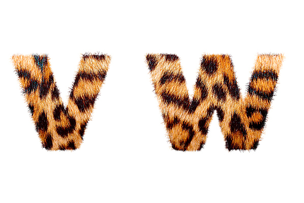 포토 JPG 해외이미지 동물 디자인 알파벳 아시아 야생동물 백그라운드 컨셉 패턴 텍스트 학교 아프리카 추상 털 동물원 미술 사람없음 장식 세트 독서 유행 자료 줄무늬 코트 기록 인쇄 만화 편지 심볼 오브젝트 사인 질감 표범 양모 고립 그런지 스타일 해외202004 해외포토 영어 교육 나라 무늬 포유류 문화예술 외투 직물 파일형식 이미지허브