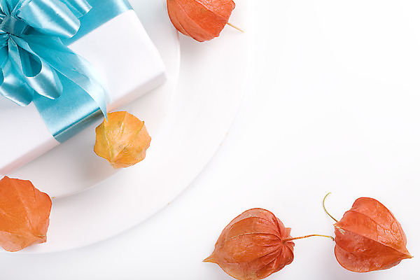 포토 JPG 해외이미지 디자인 꽃 리본 하늘색 크리스마스 오렌지 포장 휴가 선물 사람없음 장식 파란색 빛 컬러풀 축제 흰색 활 패키지 고립 해외202004 해외포토 식물 기념일 컬러 과일 파일형식 이미지허브