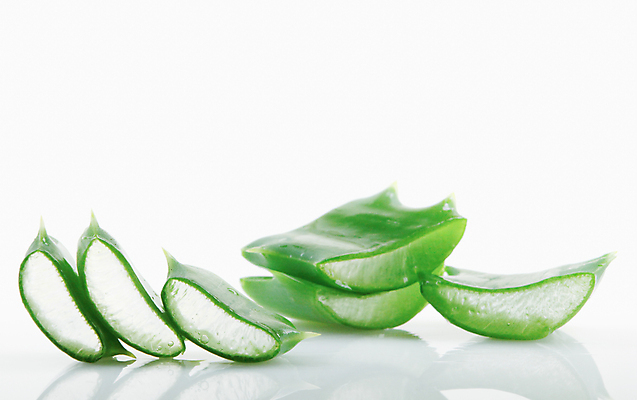 포토 JPG 해외이미지 식물 꽃 줄기 백그라운드 잎 자연 선인장 건강 사람없음 초록색 물 빛 약 우주 주스 화장품 활발 젖음 사막 성장 흰색 신선 가시 닫기 떨어짐 허브 피부 순수 묘사 피부관리 스파이크 고립 넘어짐 돌봄 알로에 억울 해외202004 해외포토 자연요소 감정 음료 컬러 컨셉 의학 모션 신체부위 뷰티 생태계 파일형식 이미지허브