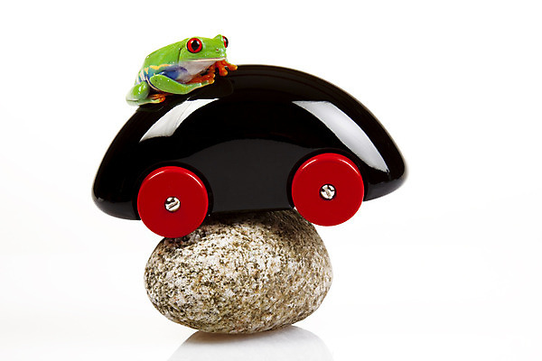 포토 JPG 해외이미지 나무 동물 응시 야생동물 오렌지 발 자연 왕관 개구리 양서류 사람없음 빨간색 초록색 컬러풀 환경 흰색 관찰 닫기 보호 왕 호기심 청개구리 고립 왕자 해외202004 해외포토 식물 시선 감정 컬러 컨셉 과일 모션 신체부위 생태계 파일형식 이미지허브