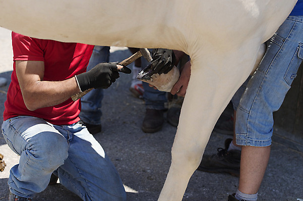 포토 JPG 해외이미지 신발 손가락 관리 사람없음 농장 갈색 금속 회색 도구 업무 못 뜨거움 구멍 수리 콘센트 오븐 망치 손톱 철 파일 펜치 삼각대 유지 교체 대장장이 아랍어 편자 해외202004 해외포토 손 컬러 농업 재질 가전제품 공구 작업 말발굽 파일형식 이미지허브